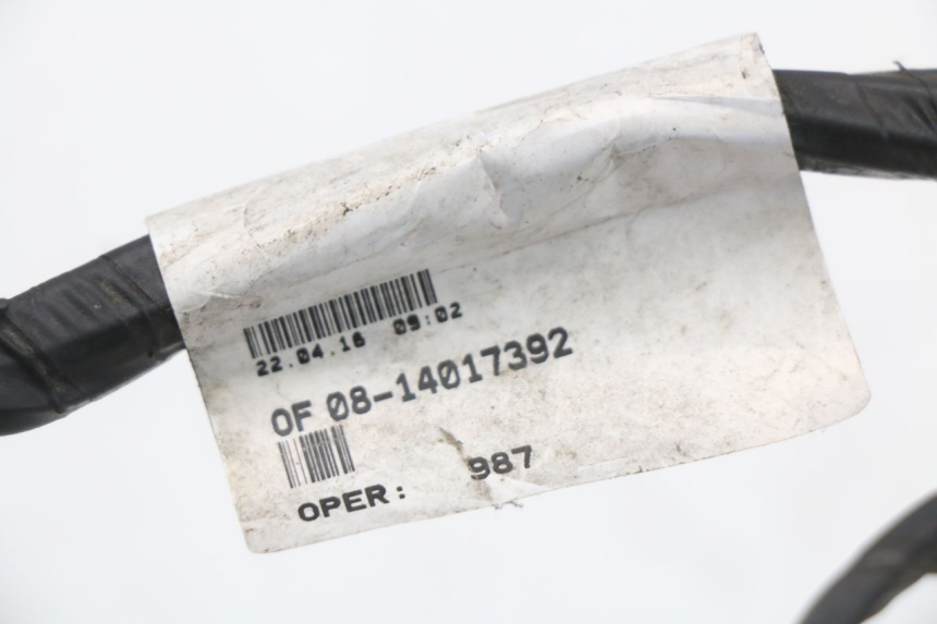 photo de CABLEADO PEUGEOT CITYSTAR 50 (2013 - 2017) - Zoom estado de uso