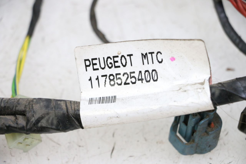 photo de CABLEADO PEUGEOT CITYSTAR 50 (2013 - 2017) - Estado de la superficie y material