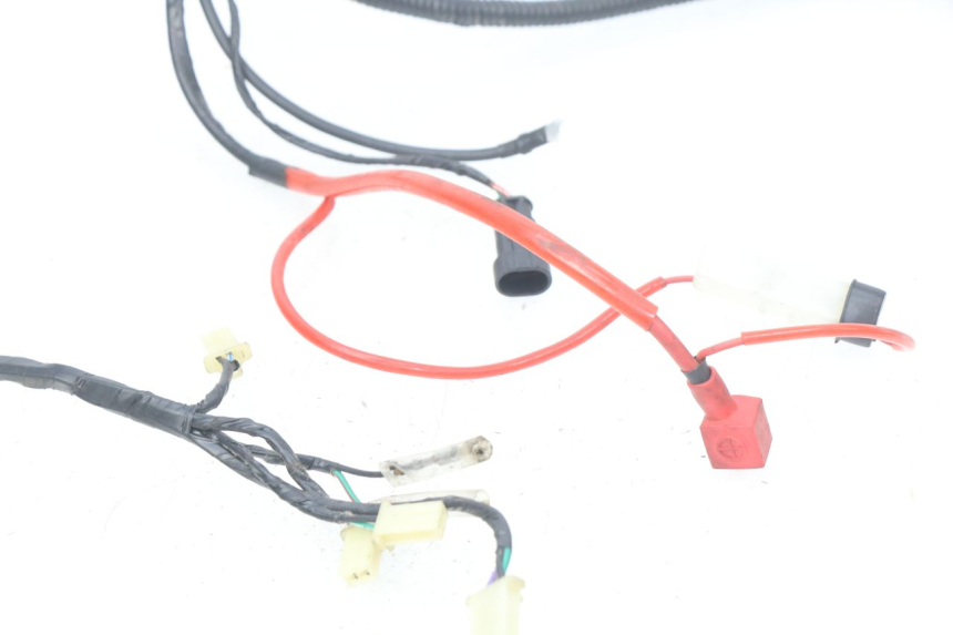 photo de CABLEADO RIDE CLASSIC 2T 50 (2014 - 2022) - Primer plano técnico