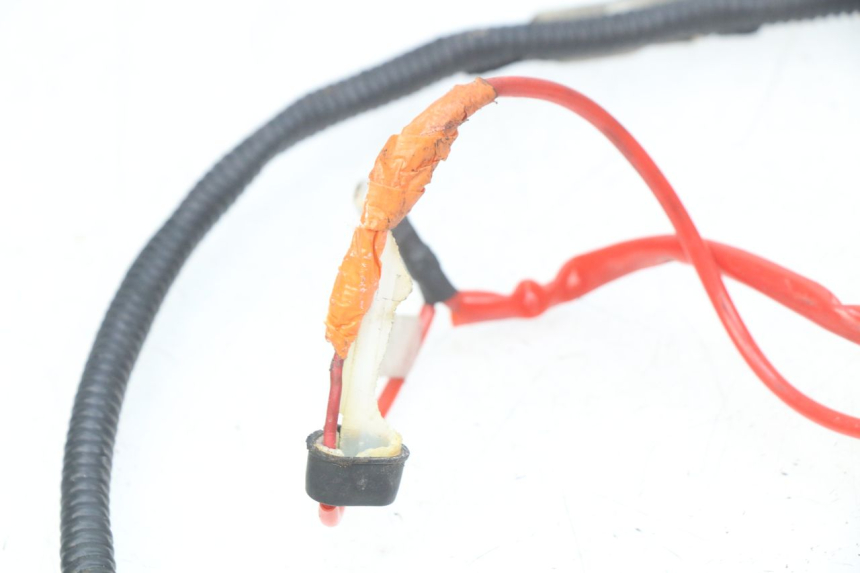 photo de CABLEADO RIDE CLASSIC 2T 50 (2014 - 2022) - Detalle de la pieza