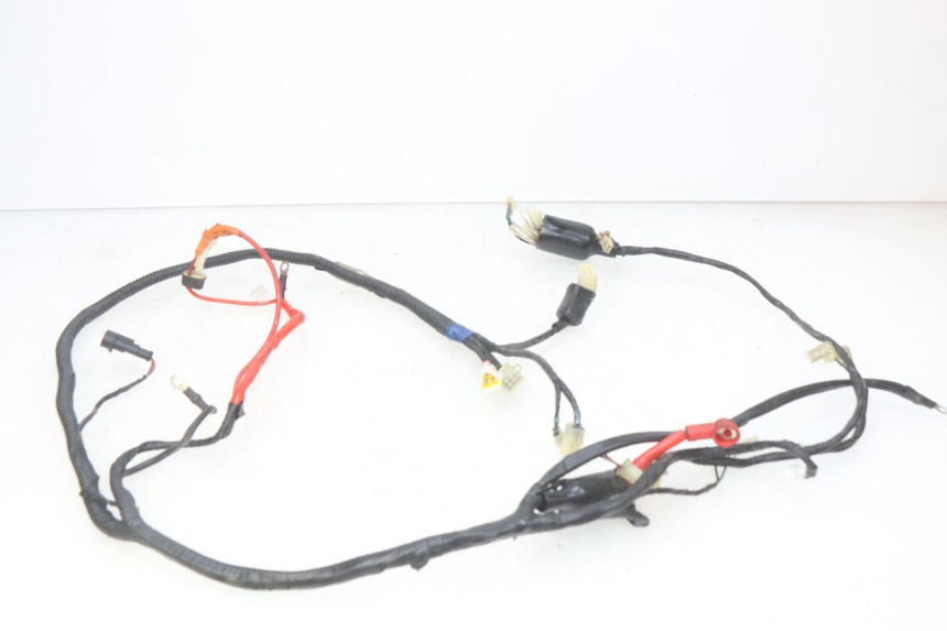 photo de CABLEADO RIDE CLASSIC 2T 50 (2014 - 2022) - Zoom estado de uso