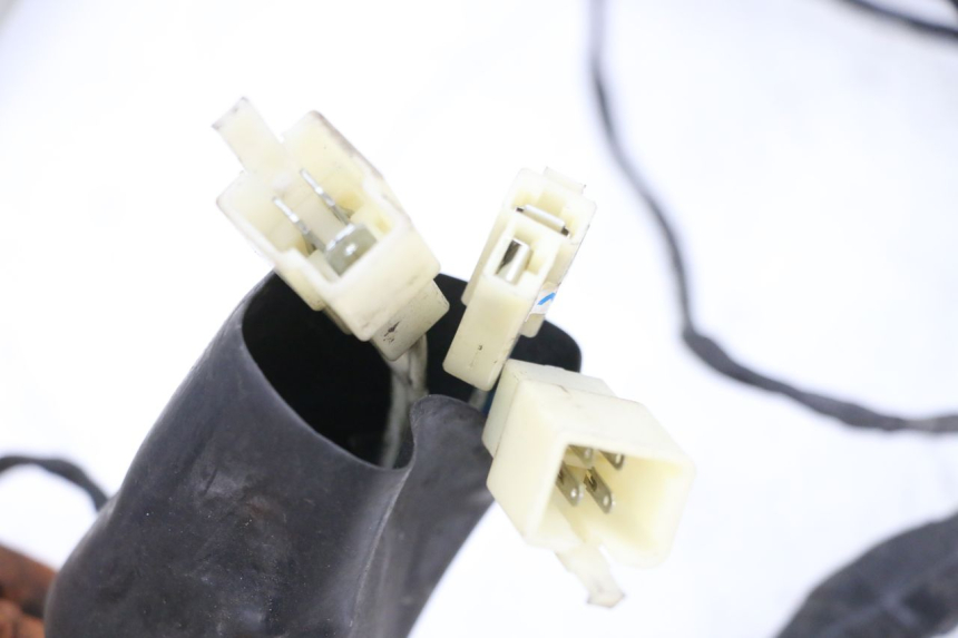 photo de CABLEADO KSR CODE 125 (2018 - 2020) - Vista general del producto