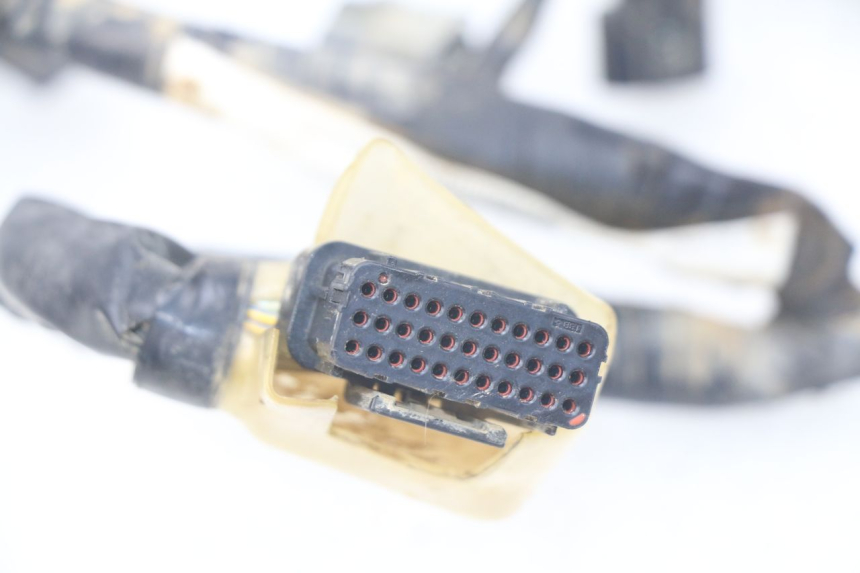 photo de CABLEADO HONDA CRF 250 (2013 - 2016) - Primer plano técnico