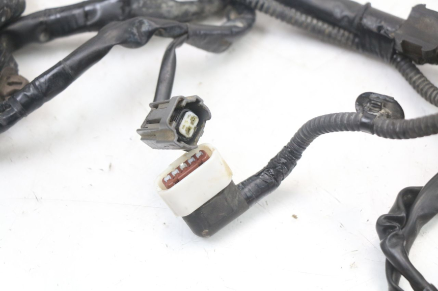 photo de CABLEADO HONDA CRF R 250 (2020 - 2021) - Detalles de los puntos de fijación