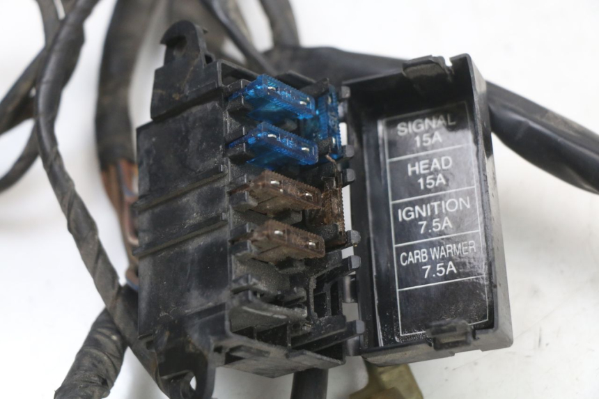 photo de CABLEADO YAMAHA CYGNUS X 125 (2004 - 2007) - Marcados y referencias originales