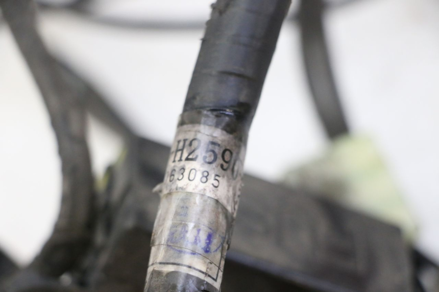 photo de CABLEADO YAMAHA CYGNUS X INJECTION 125 (2007 - 2013) - Zoom estado de uso