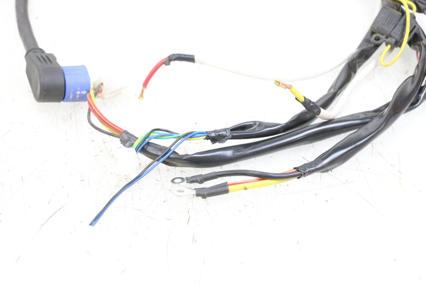 photo de CABLEADO WAYSCRAL E-START 1 (2018 - 2022) - Características distintivas