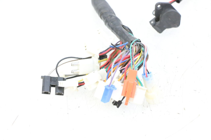 photo de CABLEADO WAYSCRAL E-START 1 (2018 - 2022) - Zoom sobre los componentes