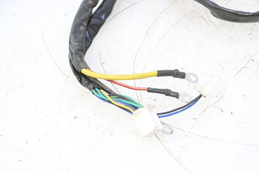 photo de CABLEADO WAYSCRAL E-START 1 (2018 - 2022) - Características distintivas