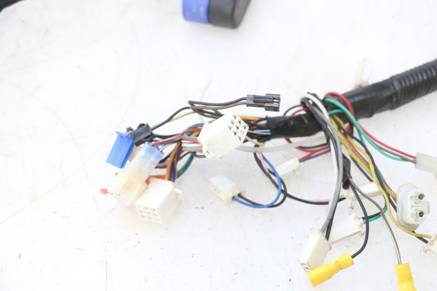 photo de CABLEADO WAYSCRAL E-START 1 (2018 - 2022) - Zoom sobre los componentes