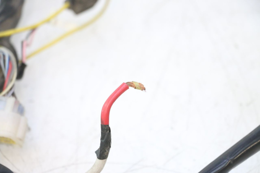 photo de CABLEADO WAYSCRAL E-START 1 (2018 - 2022) - Marcados y referencias originales