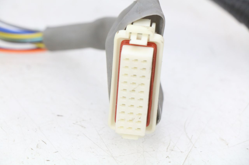 photo de CABLEADO EFUN E2GO 1 (2017 - 2021) - Primer plano técnico