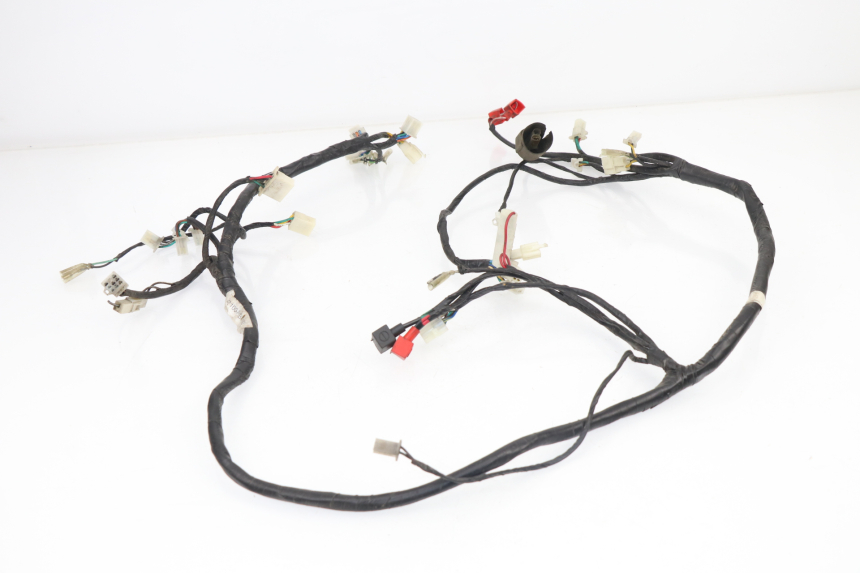 photo de CABLEADO SACHS EAGLE 50 (2007 - 2010) - Primer plano técnico