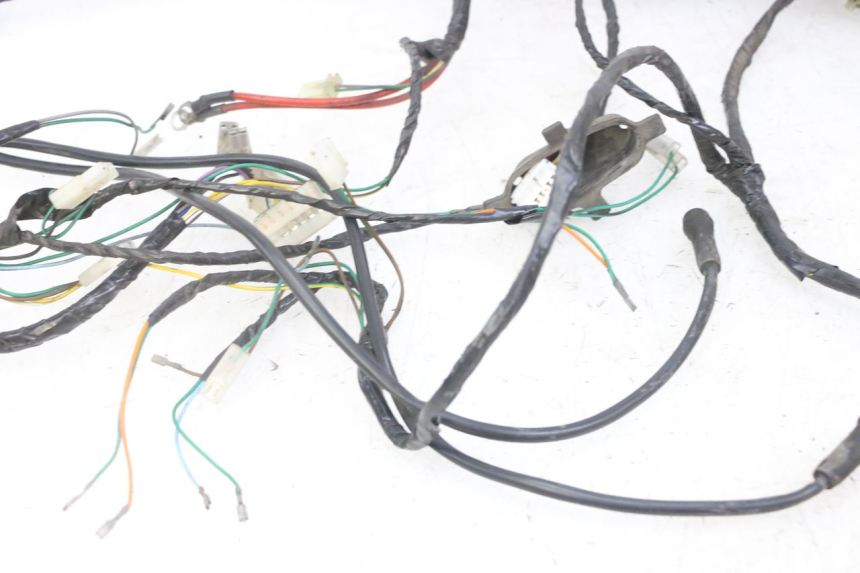 photo de CABLEADO PEUGEOT ELYSEO 125 (1999 - 2004) - Zoom sobre los componentes