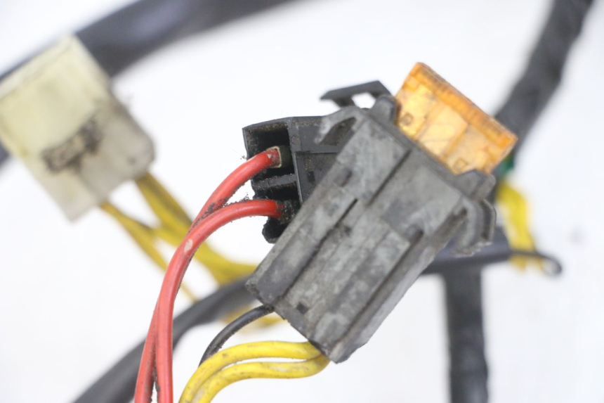 photo de CABLEADO PEUGEOT ELYSEO 125 (1999 - 2004) - Primer plano técnico