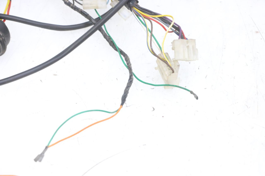photo de CABLEADO PEUGEOT ELYSEO 125 (1999 - 2004) - Zoom sobre los componentes