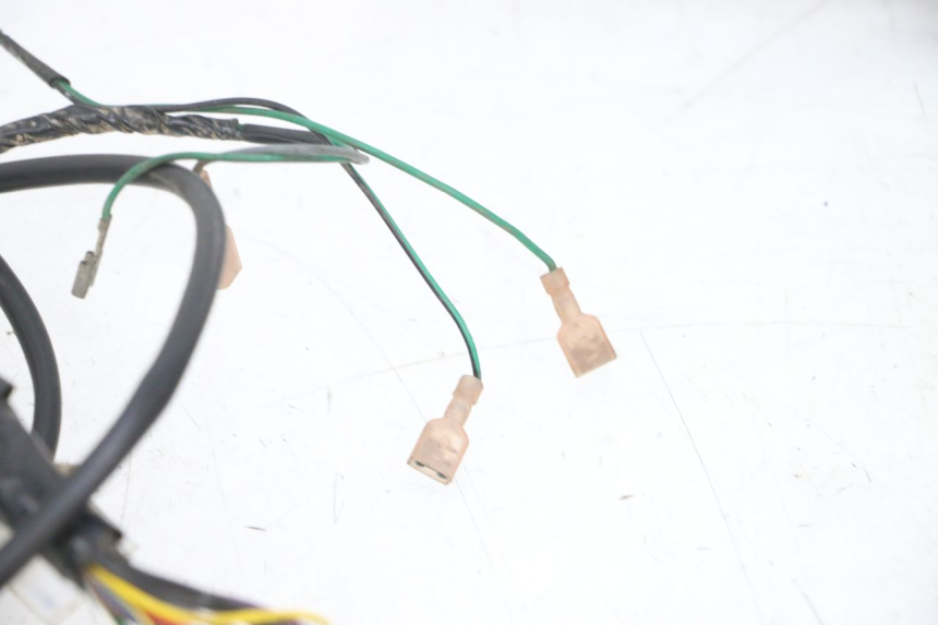 photo de CABLEADO PEUGEOT ELYSEO 125 (1999 - 2004) - Primer plano de alta resolución