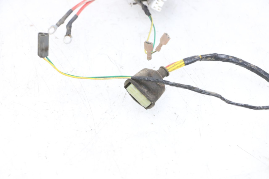 photo de CABLEADO PEUGEOT ELYSEO 125 (1999 - 2004) - Marcados y referencias originales