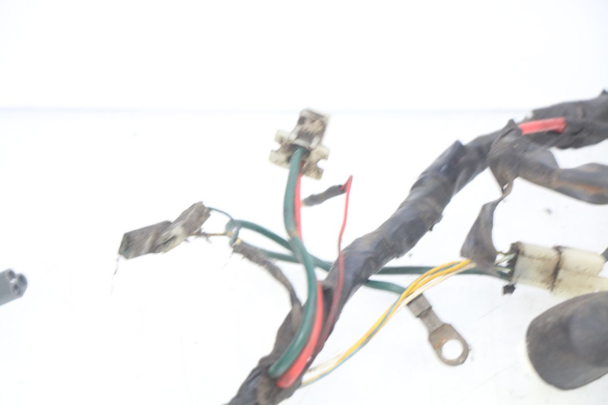 photo de CABLEADO PEUGEOT ELYSTAR 50 (2002 - 2014) - Otra vista del artículo