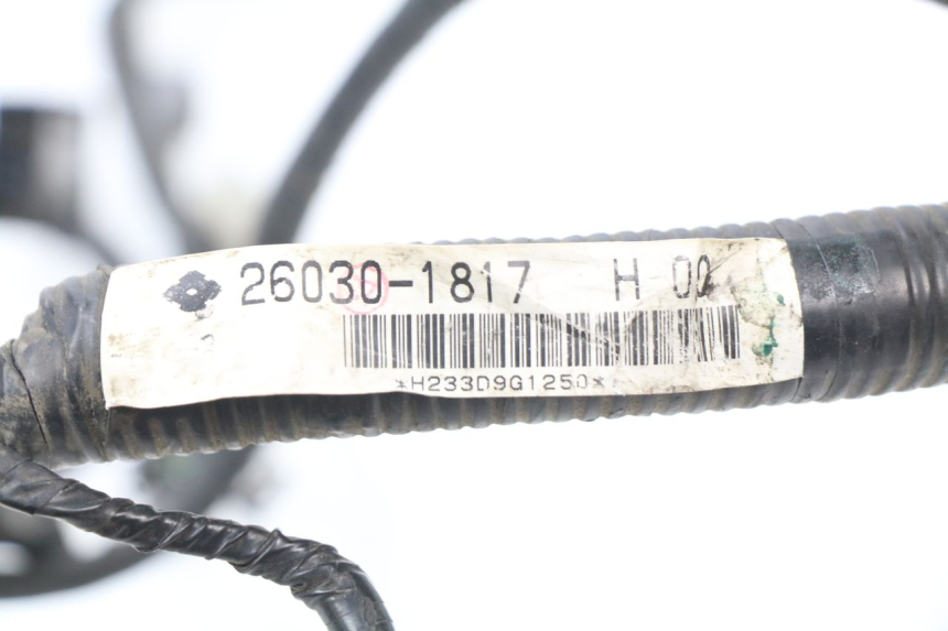 photo de CABLEADO KAWASAKI ER5 ER-5 500 (2001 - 2004) - Detalle de la pieza