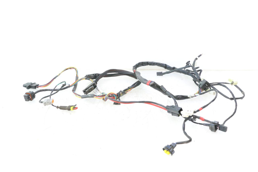 photo de CABLEADO ASKOLL ESPRO 1 - Vista principal