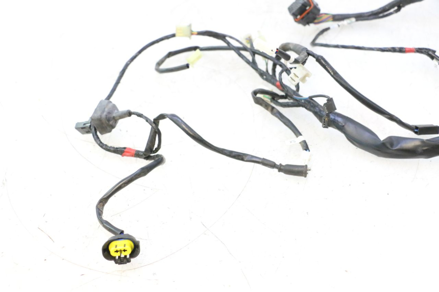 photo de CABLEADO ASKOLL ESPRO 1 - Características distintivas