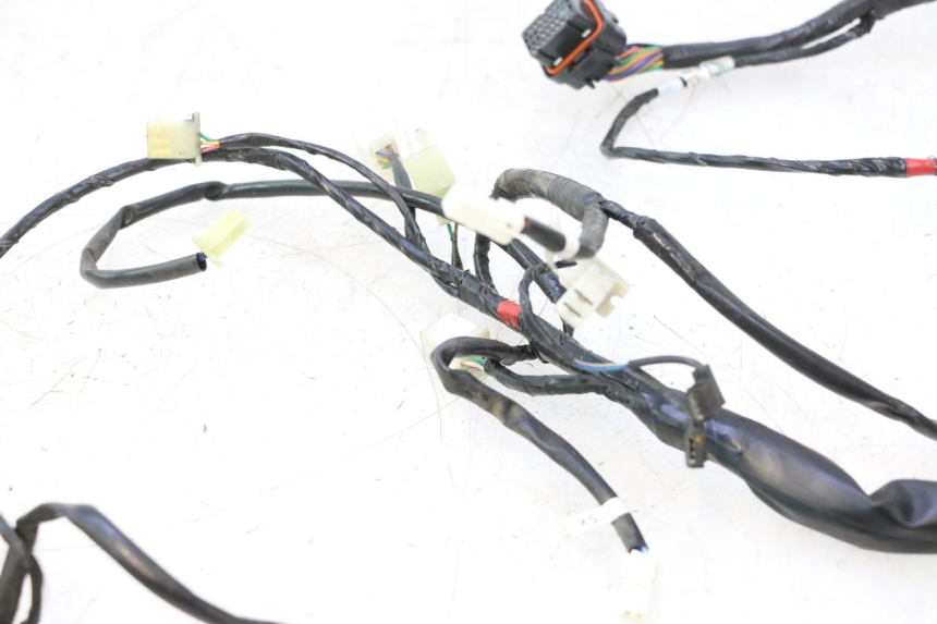 photo de CABLEADO ASKOLL ESPRO 1 - Zoom sobre los componentes