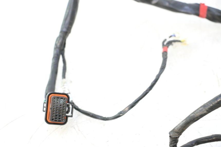 photo de CABLEADO ASKOLL ESPRO 1 - Primer plano de alta resolución