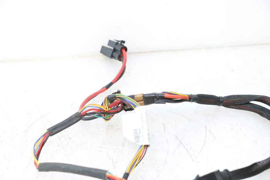 photo de CABLEADO ASKOLL ESPRO 1 - Recambio usado revisado