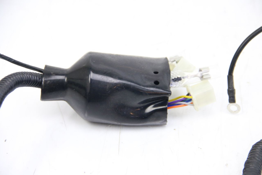 photo de CABLEADO JM MOTORS EVOLIS 4T 50 (2018 - 2022) - Zoom estado de uso