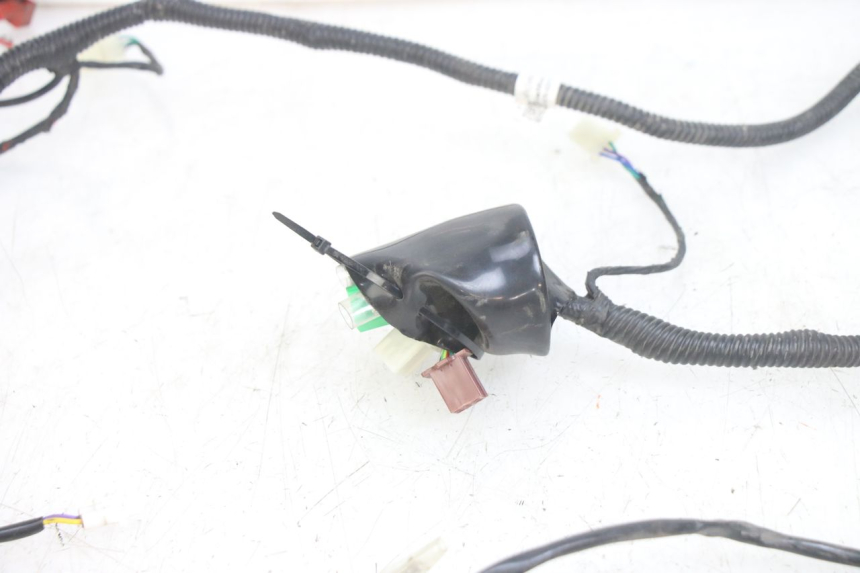 photo de CABLEADO JM MOTORS EVOLIS 4T 50 (2018 - 2022) - Vista general del producto