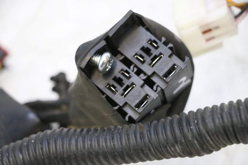 photo de CABLEADO KEEWAY F-ACT FACT EVO 50 (2020 - 2026) - Otra vista del artículo
