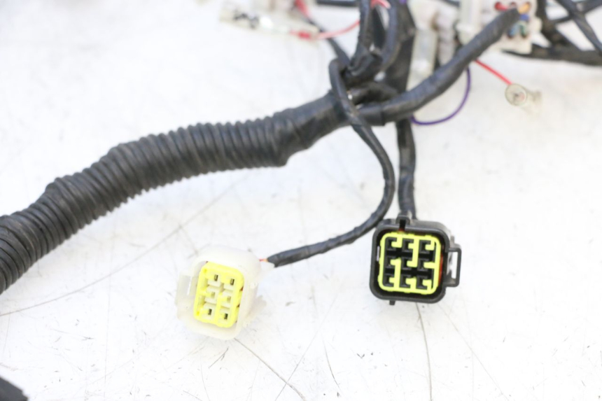 photo de CABLEADO KEEWAY F-ACT FACT EVO 50 (2020 - 2026) - Características distintivas