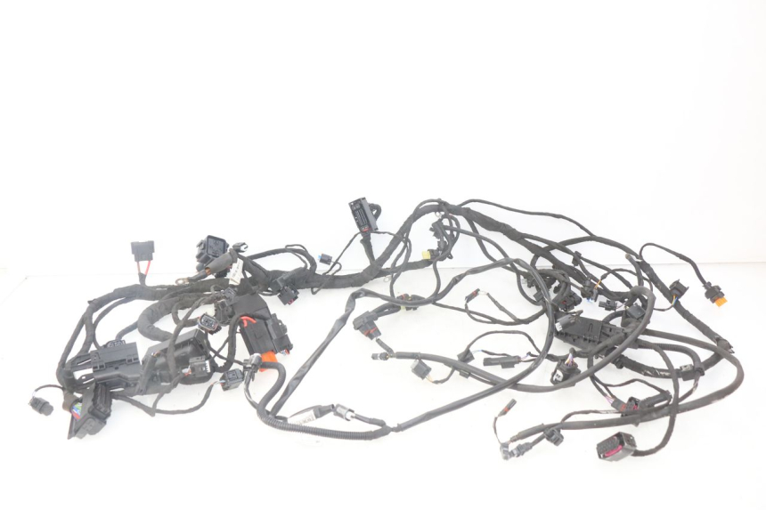 photo de CABLEADO BMW F GS K81 850 (2018 - 2023) - Vista principal