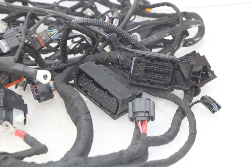 photo de CABLEADO BMW F GS K81 850 (2018 - 2023) - Primer plano técnico