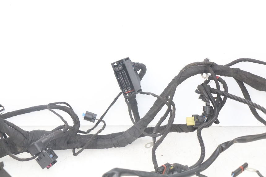 photo de CABLEADO BMW F GS K81 850 (2018 - 2023) - Recambio usado revisado