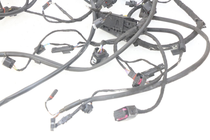 photo de CABLEADO BMW F GS K81 850 (2018 - 2023) - Marcados y referencias originales