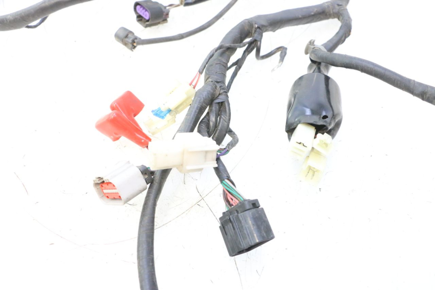 photo de CABLEADO JM MOTORS F45i 4T 50 (2020 - 2023) - Primer plano técnico