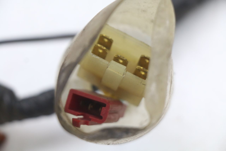 photo de CABLEADO HONDA FES PANTHEON 2T 125 (1998 - 2002) - Marcados y referencias originales