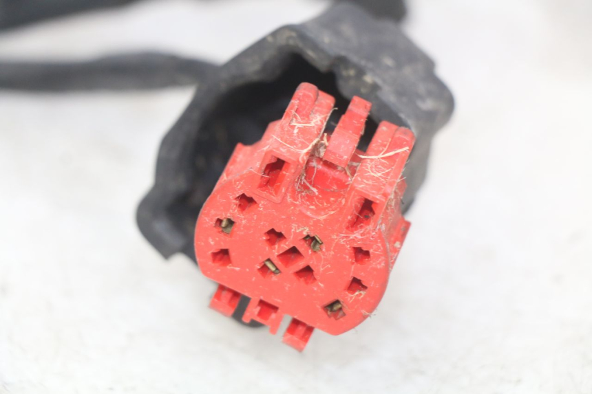 photo de CABLEADO HONDA FES PANTHEON 125 (2003 - 2007) - Primer plano de alta resolución