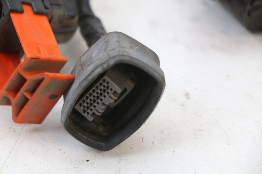 photo de CABLEADO HONDA FES S-WING SWING ABS 125 (2007 - 2015) - Perfil de la pieza de repuesto