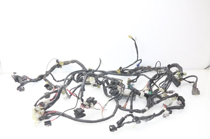photo de CABLEADO YAMAHA FJR ABS 1300 (2006 - 2012) - Vista principal