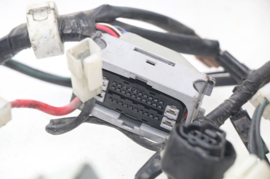 photo de CABLEADO YAMAHA FJR ABS 1300 (2006 - 2012) - Vista general del producto