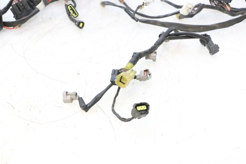 photo de CABLEADO YAMAHA FJR 1300 (2001 - 2005) - Inspección visual detallada