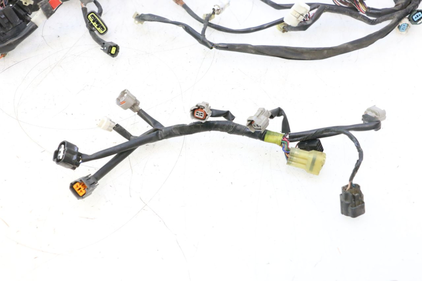 photo de CABLEADO YAMAHA FJR 1300 (2001 - 2005) - Enfoque en la estructura