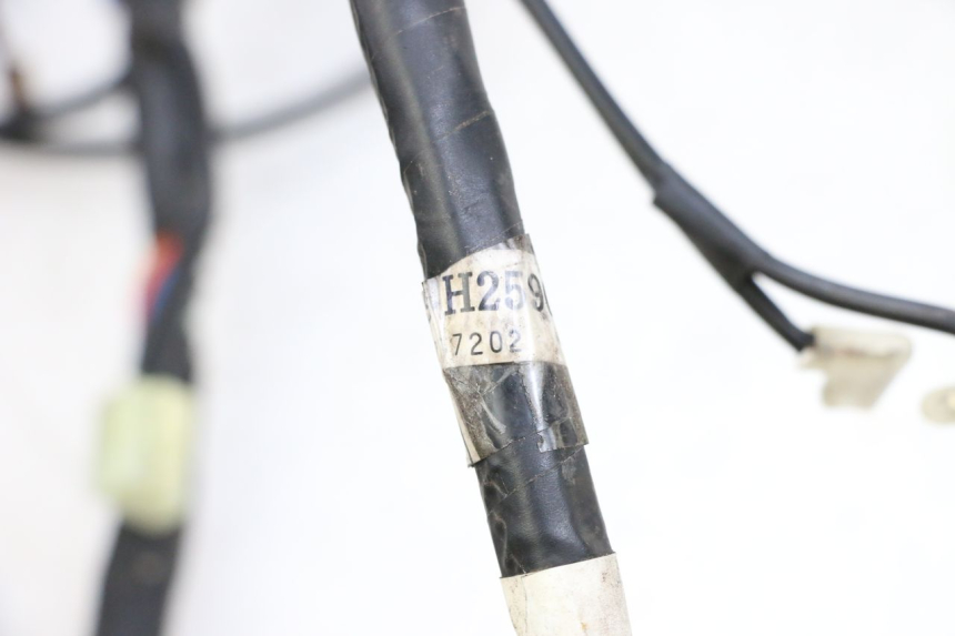 photo de CABLEADO MBK FLAME X 125 (2007 - 2016) - Primer plano técnico