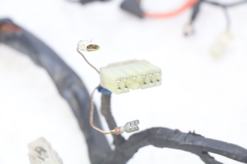 photo de CABLEADO YAMAHA FZS FAZER 600 (1998 - 2001) - Vista general del producto