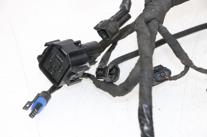 photo de CABLEADO BMW G310 R 310 (2016 - 2020) - Detalle de la pieza