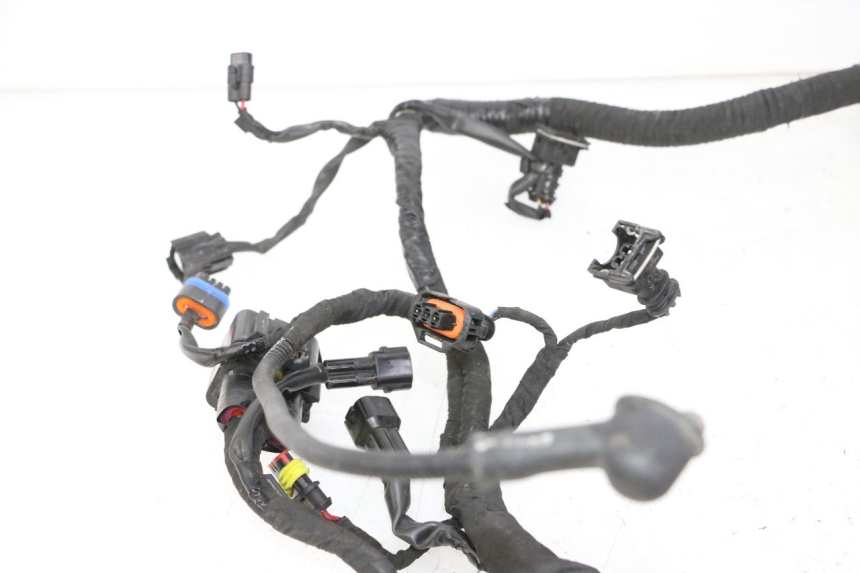 photo de CABLEADO BMW G310 R 310 (2016 - 2020) - Vista general del producto