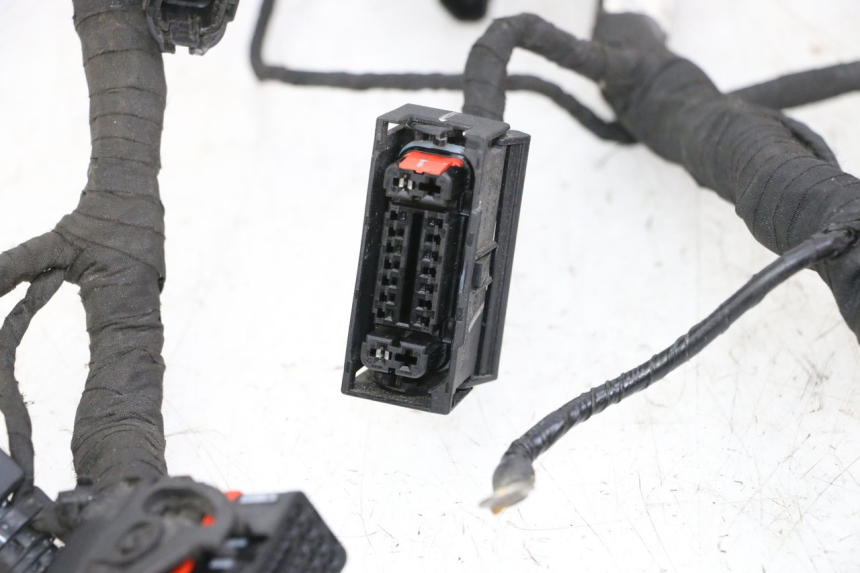 photo de CABLEADO BMW G310 R 310 (2016 - 2020) - Estado de la superficie y material